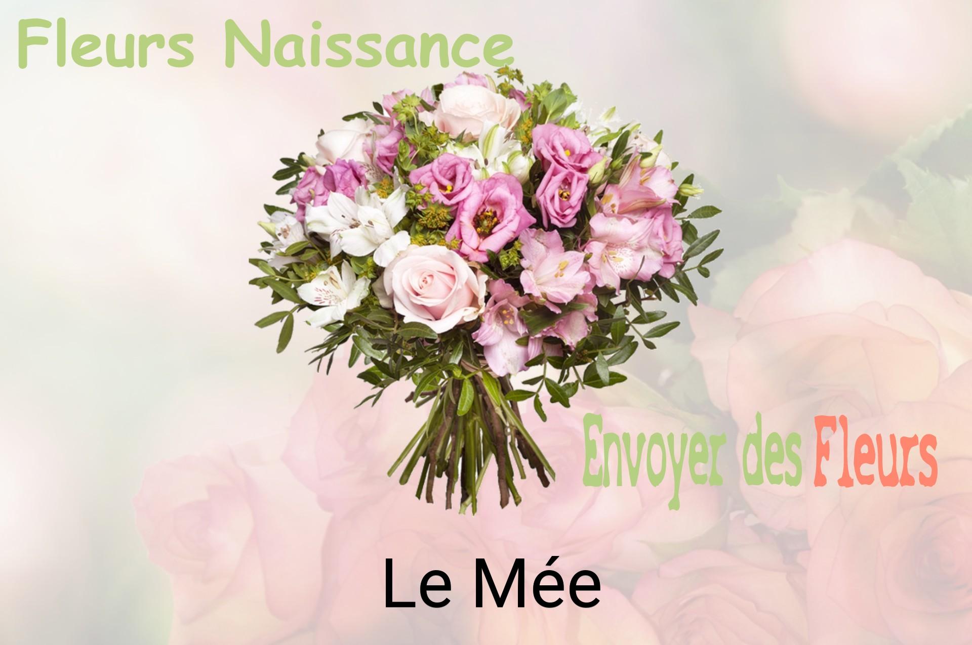 Bouquet de fleurs de naissance livré à Le Mée